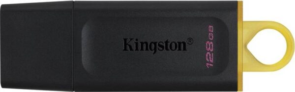 Memoria USB 3.2 Kingston